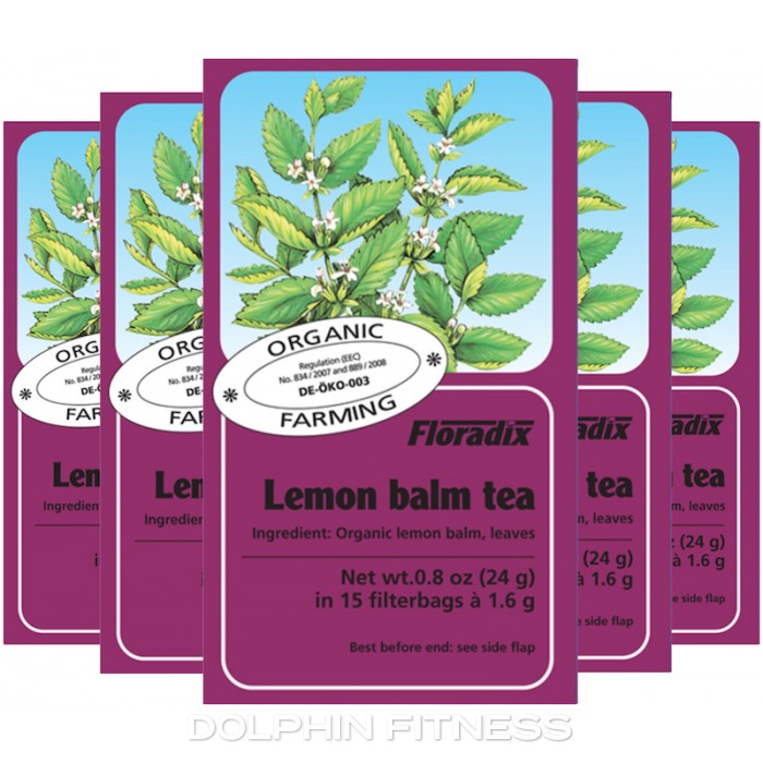Floradix Lemon Balm Organic Herbal Tea 15 Bag – SuperfoodUK